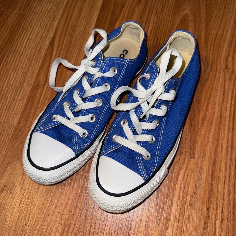Converse Royal Blue Canvas Sneakers Low-Top